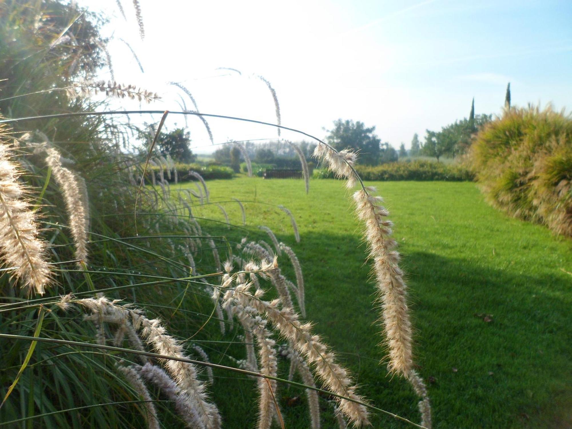 Casale Di Tormaggiore Villa And Country Suites โปเมเซีย ภายนอก รูปภาพ