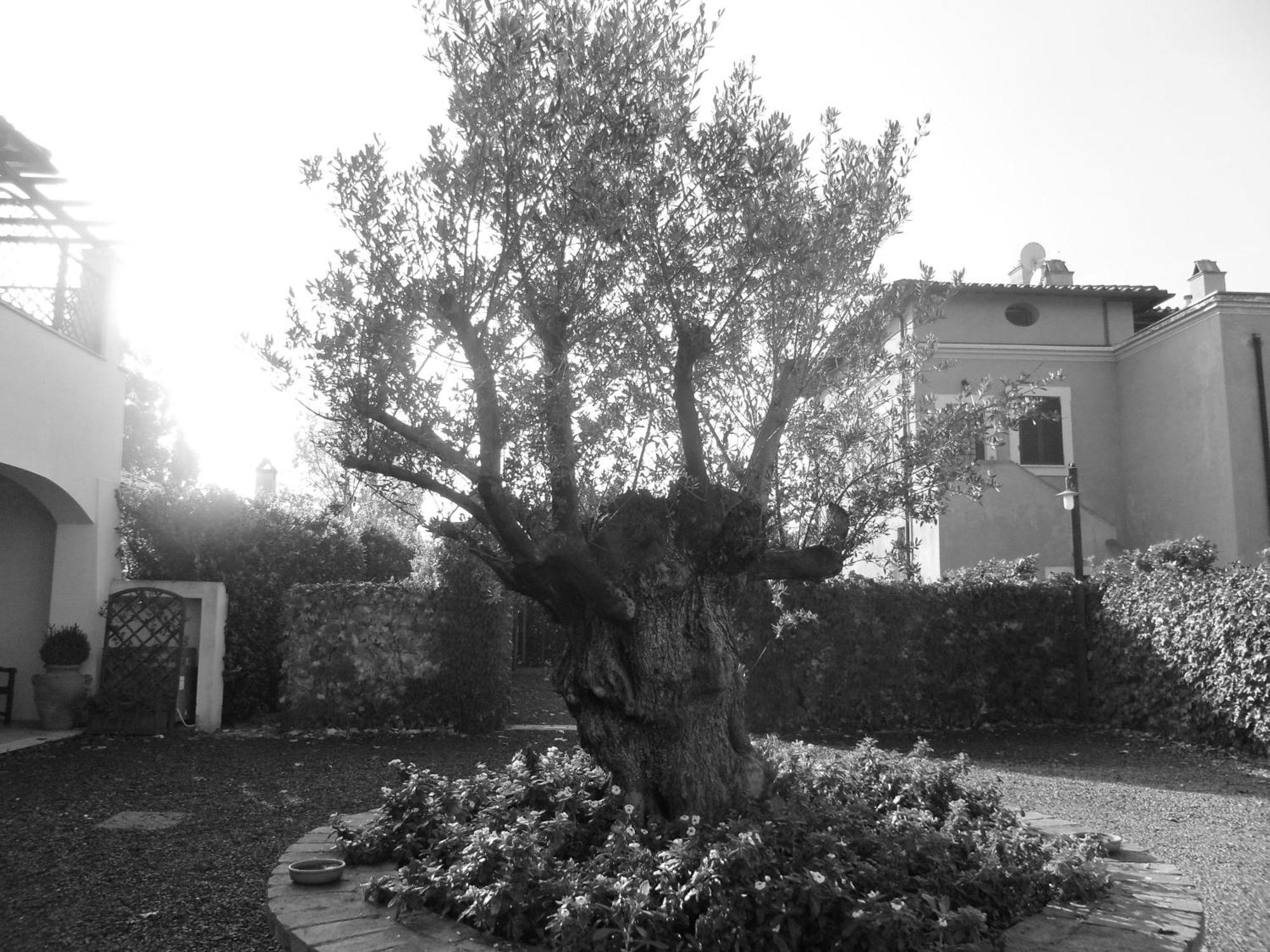 Casale Di Tormaggiore Villa And Country Suites โปเมเซีย ภายนอก รูปภาพ